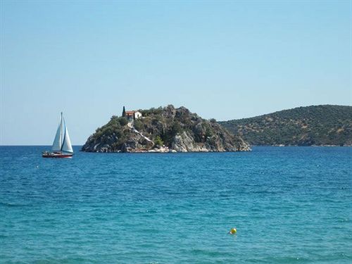 Hotel Tolo  | Athens | Attica | Greece 18