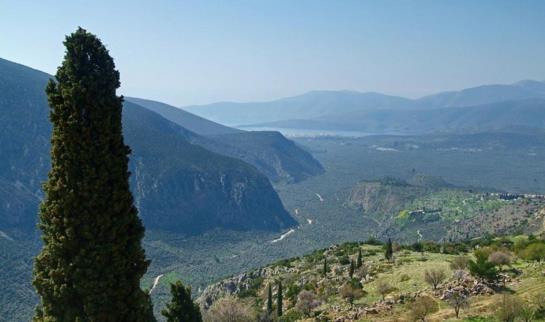 Hotel Hermes  | Delfi | Central Greece | Greece 10