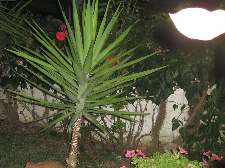 Hotel Pighi  | Kriopigi | Halkidiki | Greece 16