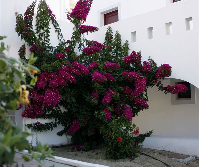 Hotel Naxos Palace  | Naxos | Naxos Island | Greece 3