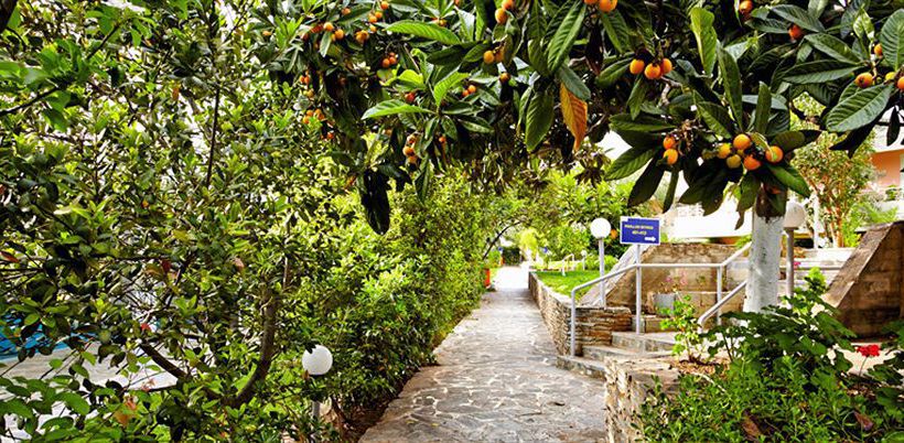 Hotel Miramare  | Eretria | Central Greece | Greece 2