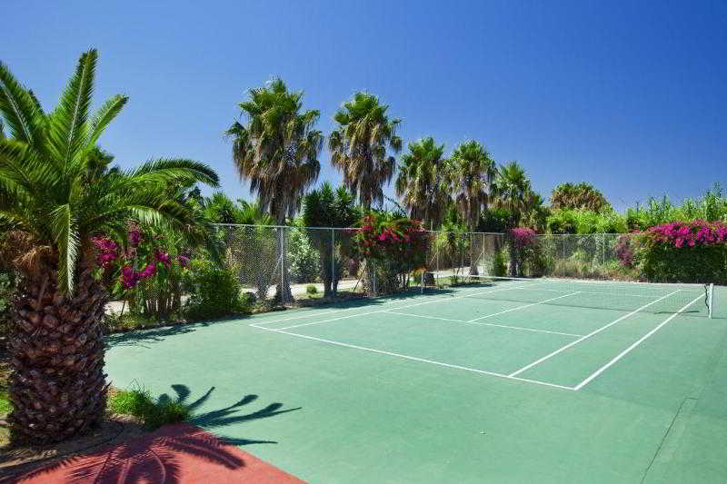 Hotel Apollon  | Kos | Kos | Greece 13