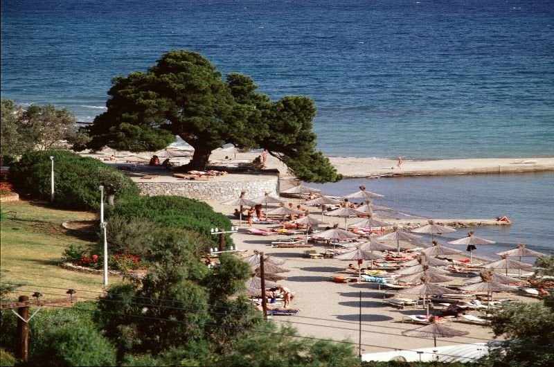 Resort Eretria Village Club Hotel  | Eretria | Central Greece | Greece 2