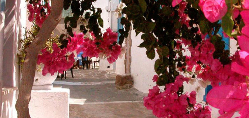 Hotel Golden Milos Beach  | Milos | Cyclades | Greece 10