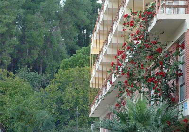 Hotel Neda  | Olympia | West Grecia | Greece 16