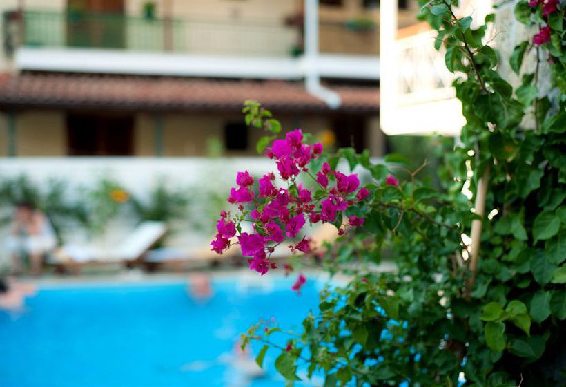 Hotel Neda  | Olympia | West Grecia | Greece 6
