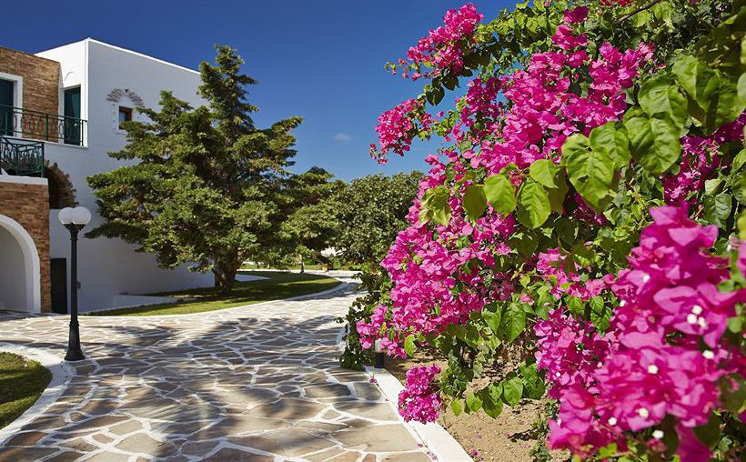 Hotel Galaxy  | Naxos | Naxos Island | Greece 14