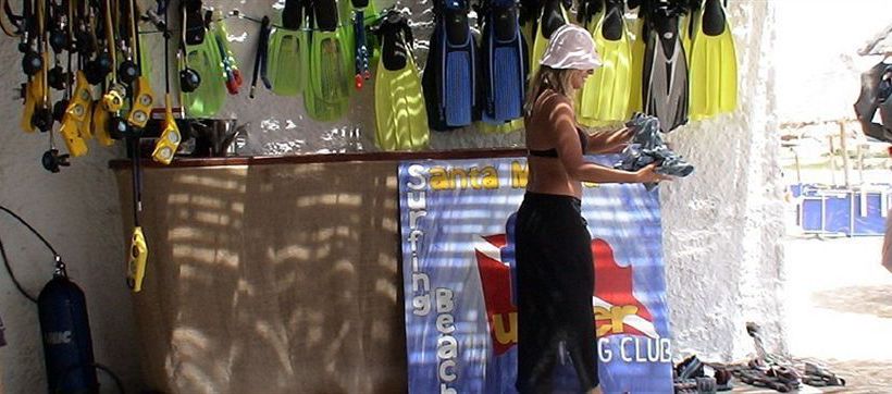 Hotel Surfing Beach Village  | Santa Maria - Paros | Cyclades | Greece 6