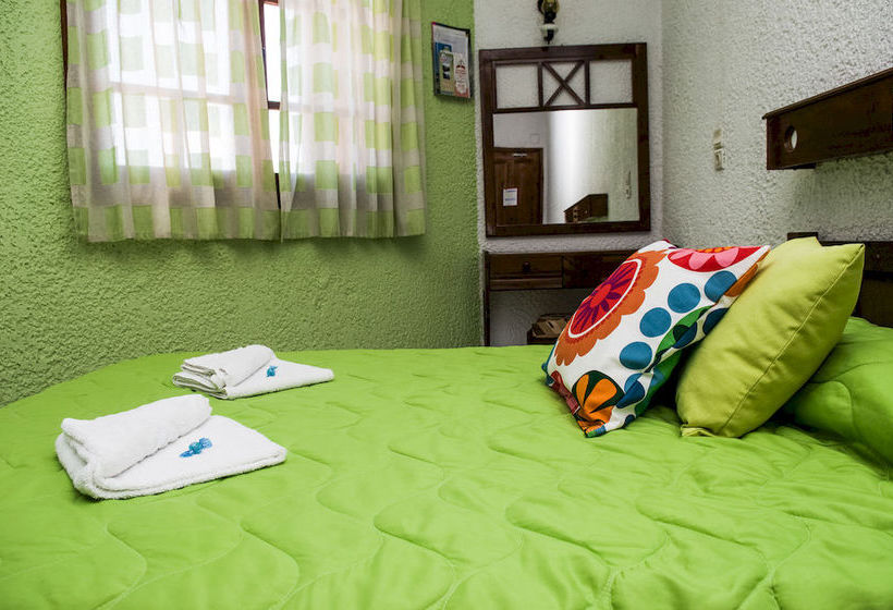 Anema By The Sea Apartments  | Karlovasi | Samos | Greece 10