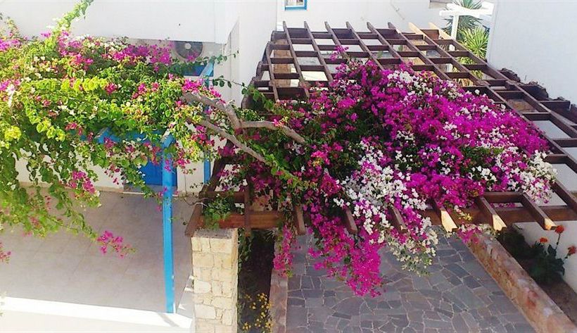 Hotel Glaronissia  | Milos | Cyclades | Greece 2