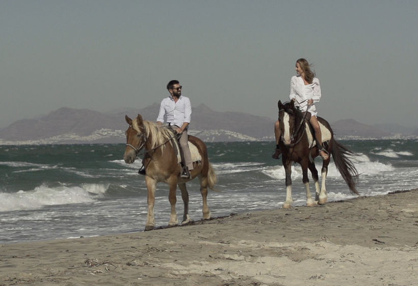 Hotel Diamond Deluxe  | Lambi | Kos | Greece 15