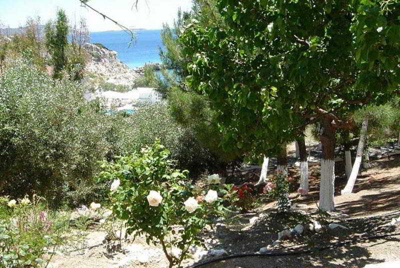 Glicorisa Beach Hotel  | Pythagoreio | Samos | Greece 1