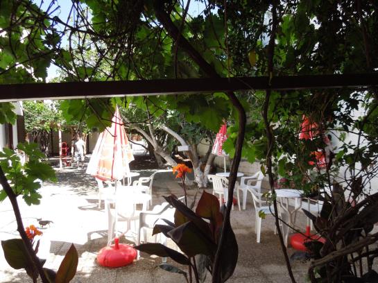 Albatross Hotel  | Serifos | Cyclades | Greece 8