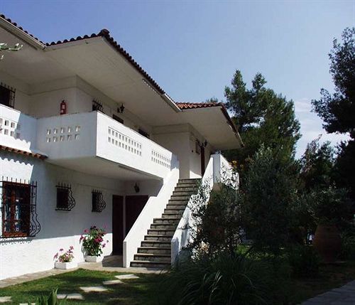 Hotel Porfi Beach  | Nikiti | Halkidiki | Greece 19