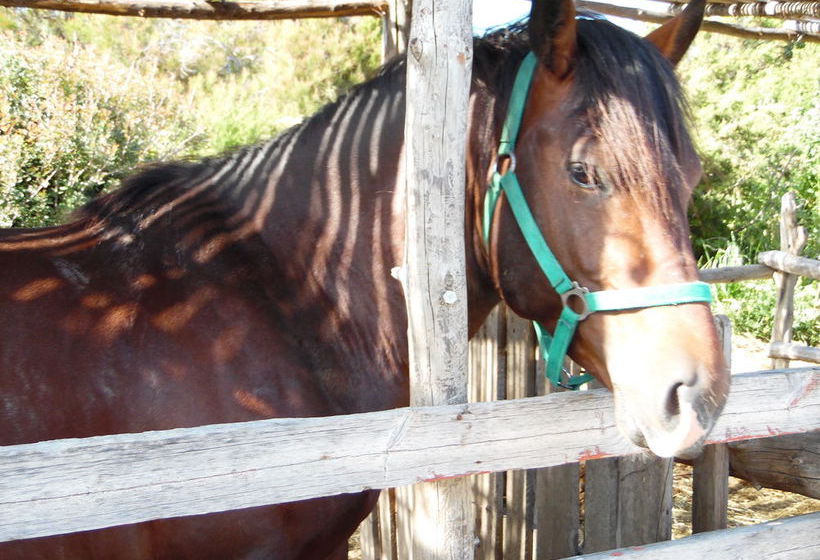 Hotel Panorama Gennadi  | Gennadi | Rhodos | Griechenland 13