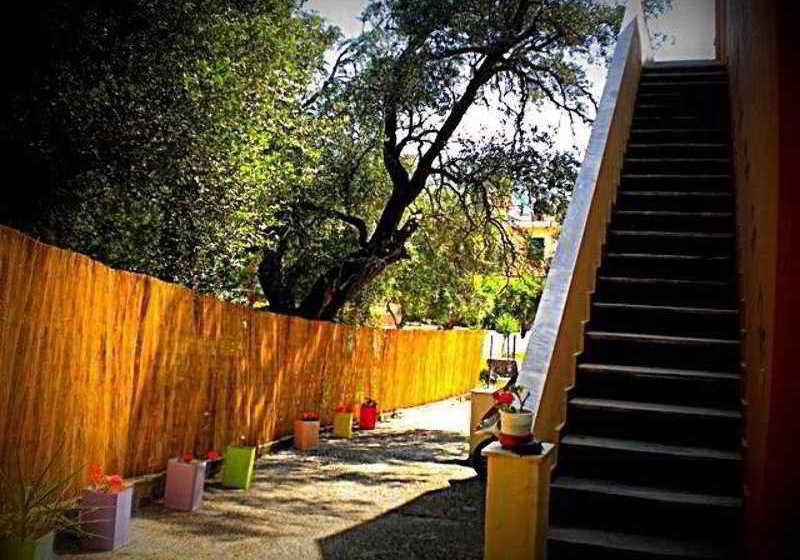 Comfy Hostel Studios  | Ipsos | Corfu | Greece 3