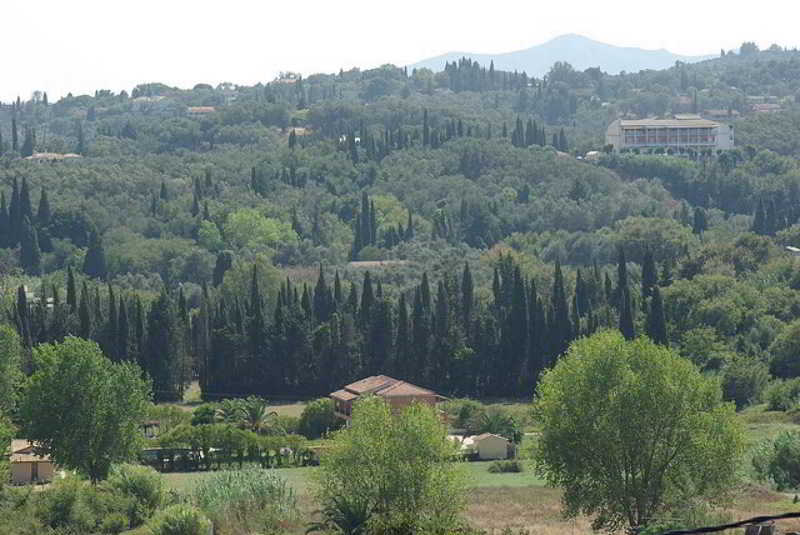 Comfy Hostel Studios  | Ipsos | Corfu | Greece 4