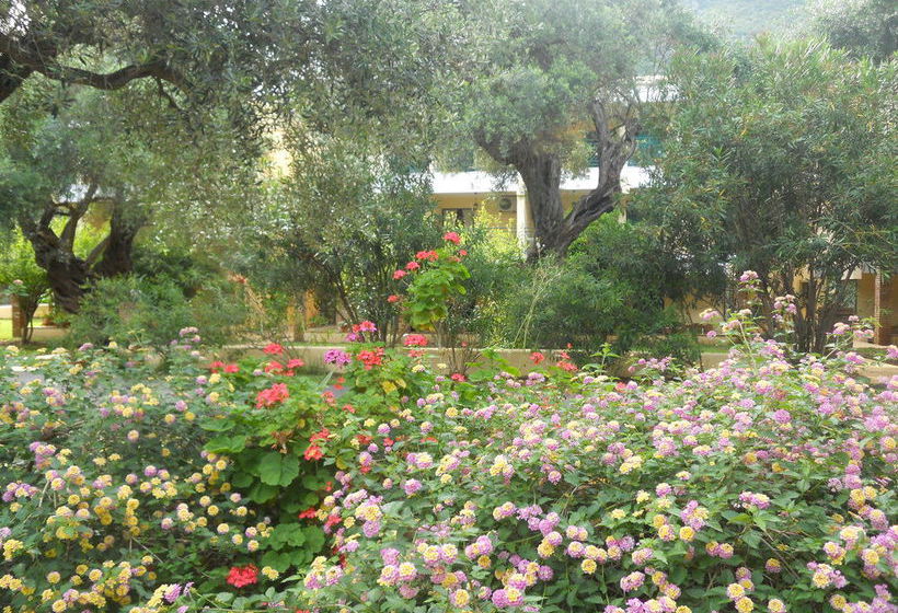 Apartamentos Barbati Beach  | Barbati | Corfu | Greece 19