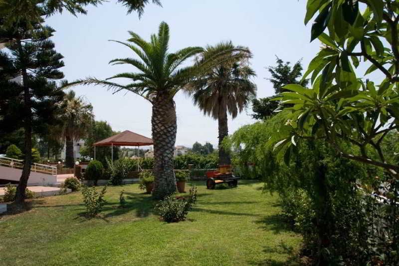 Asterias Beach Hotel  | Theologos | Rhodes | Greece 3