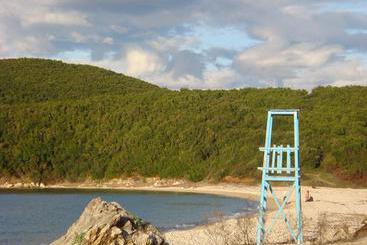 Lemon Tree Apartments  | Kassiopi | Corfu | Greece 7