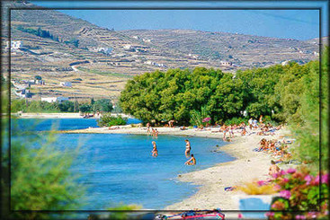 Pension Rena  | Parikia | Cyclades | Greece 4