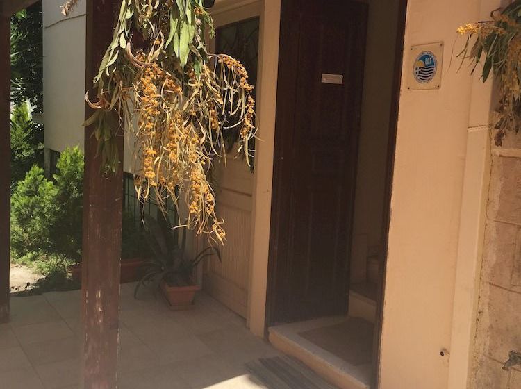 Hotel Ulrika  | Aegina | Saronic Islands | Greece 6