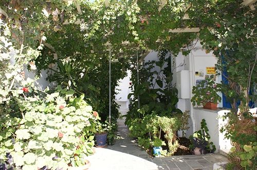 Pension Irene I  | Naxos | Naxos Island | Greece 5