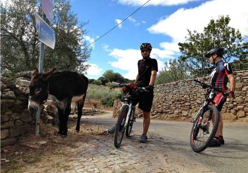 Solar dos Marcos Hotel Rural  | Bemposta | Bragança | Portugal 15