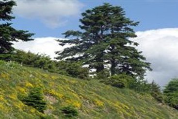 Hotel Epixenia Pandokos  | Karpenisi | Central Greece | Greece 4