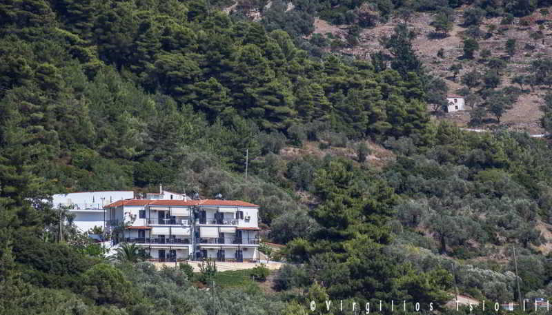Hotel Aegean  | Skopelos | Sporades | Greece 5