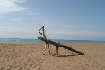 Hotel Athina  | Olympia | Grecia Occidental | Grecia 17