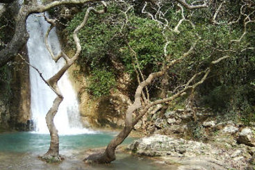 Hotel Athina  | Olympia | Grecia Occidental | Grecia 8