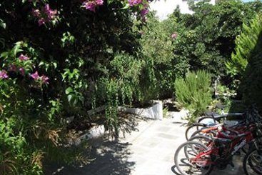 Hotel Thea Home  | Skopelos | Sporades | Greece 7