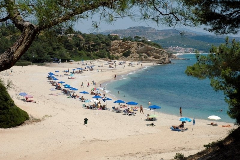 Trypiti Bungalows  | Thasos | East Macedonia and Thrace | Greece 2