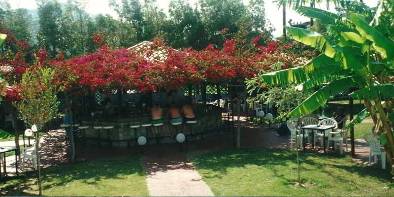 Hotel Alfa Beach & Resort  | Kolymbia | Rhodes | Greece 19