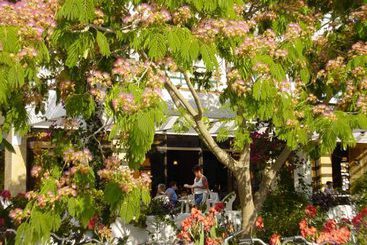 Hotel Cosmopolitan  | Lambi | Kos | Greece 5