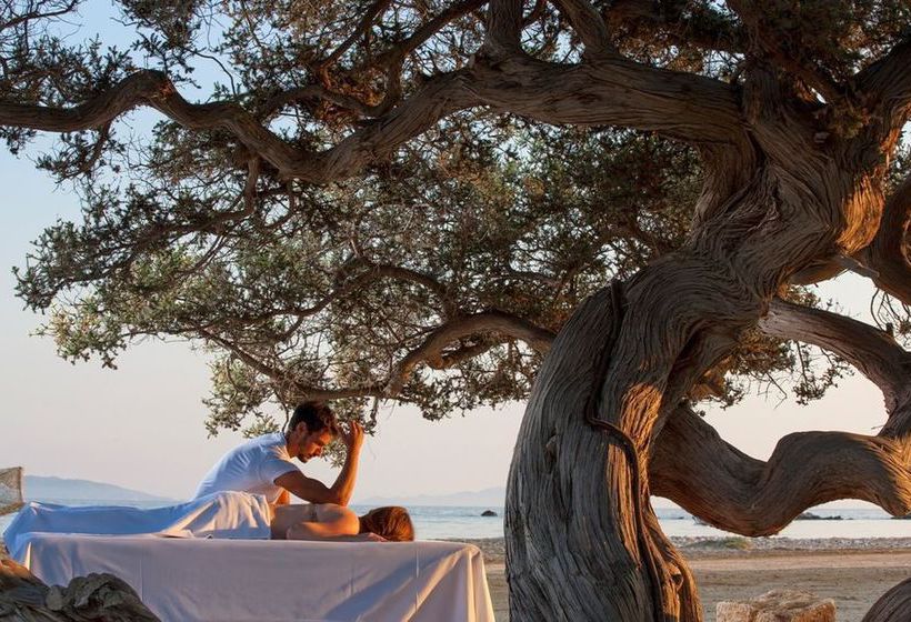 Hotel Finikas  | Naxos | Naxos Island | Greece 20