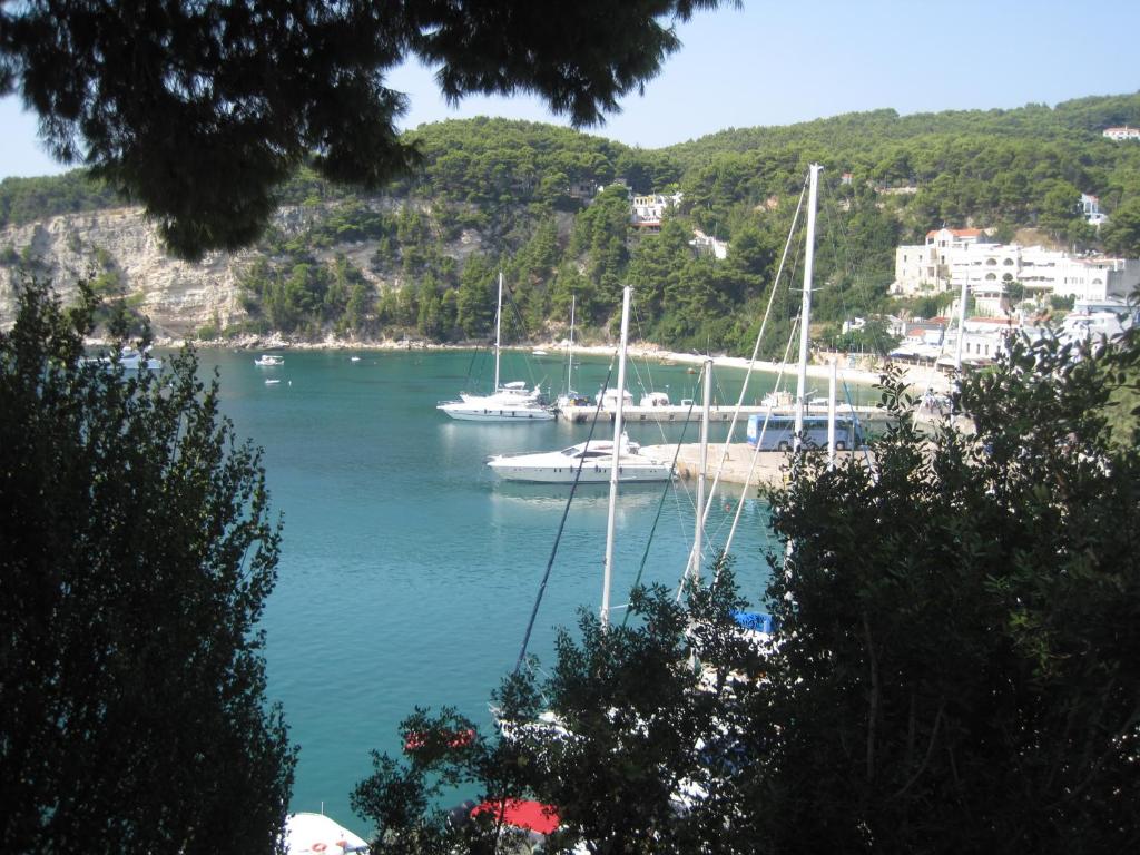 Hotel Levantes a Patitiri, Alonissos | Camere con Vista sul Mar Egeo 18