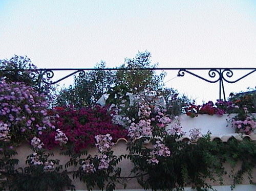 75 Steps Apartamentos  | Messongi | Corfu | Greece 11