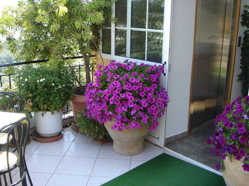 75 Steps Apartamentos  | Messongi | Corfu | Greece 12