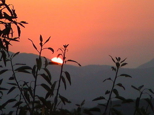 75 Steps Apartamentos  | Messongi | Corfu | Greece 16