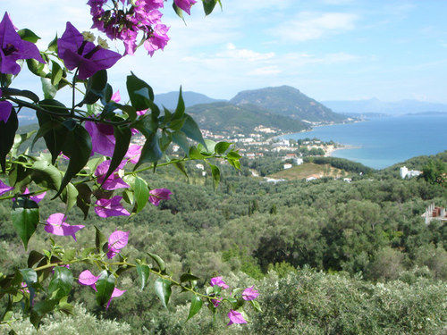 75 Steps Apartamentos  | Messongi | Corfu | Greece 8