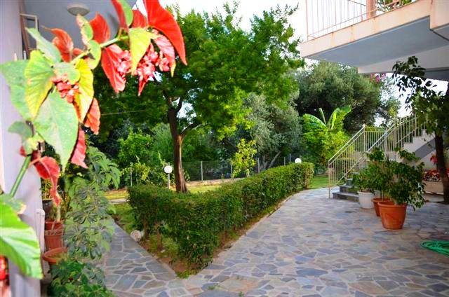 Maria Apartamentos  | Lourdata | Kefalonia | Greece 5