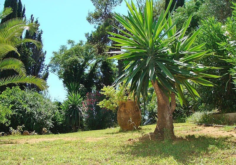 Gerekos Apartamentos  | Kontokali | Corfu | Greece 1