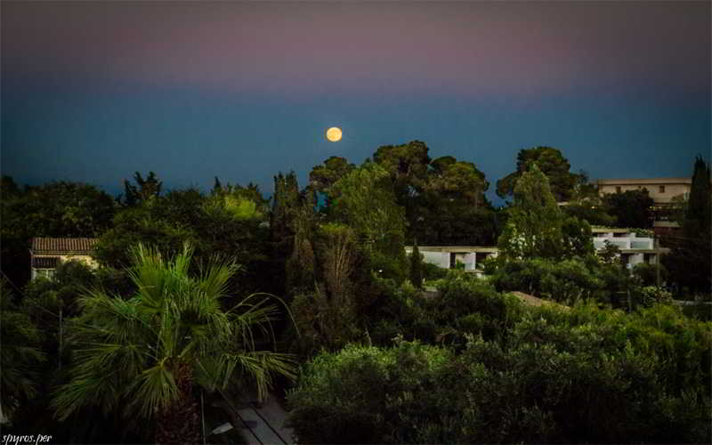 Gerekos Apartamentos  | Kontokali | Corfu | Greece 8