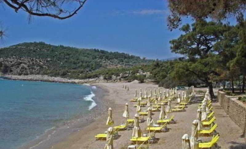 Royal Paradise Resort  | Thasos | East Macedonia and Thrace | Greece 6