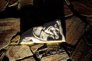 Hotel Pigasos  | Thasos | East Macedonia and Thrace | Greece 8