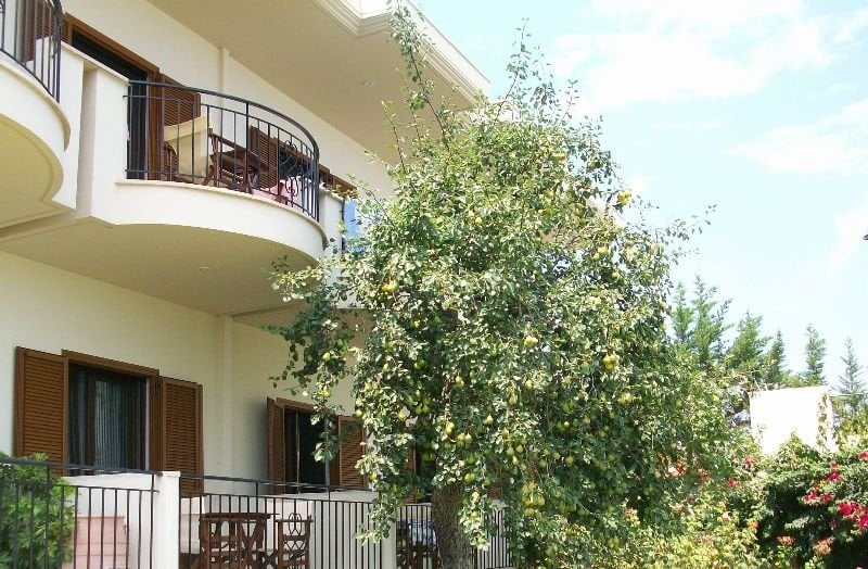 Hotel Aegean Blue Studios  | Afitos | Halkidiki | Greece 1