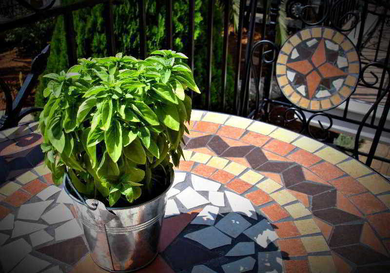 Hotel Acroploro  | Galaxidi | Central Greece | Greece 8