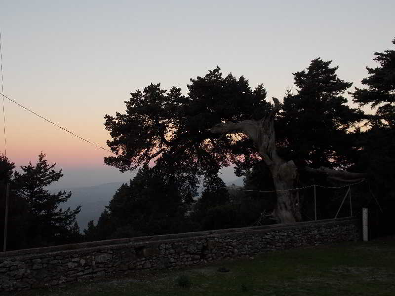 Hotel Elafos  | Rhodes | Rhodes | Greece 8